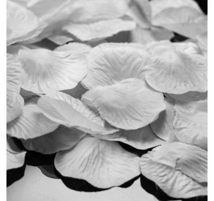 Textilní plátky růží na házení 48x52mm - bílá (100ks/bal)