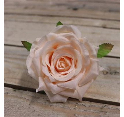 Květ růže meruňková, 12 ks  MO-371211-26