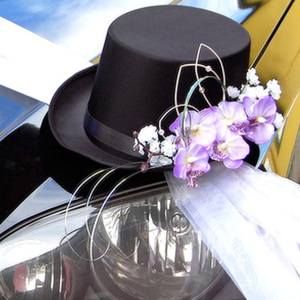 Výzdoba svatebního auta - Zde věci na výzdobu svatebního auta.